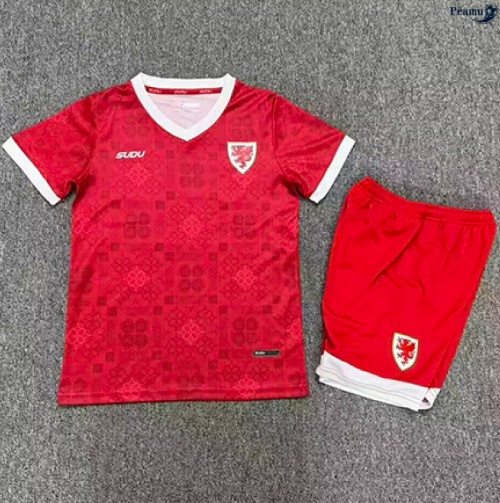 Peamu Maillot foot Pays de Galles Enfant Domicile 2026-2027