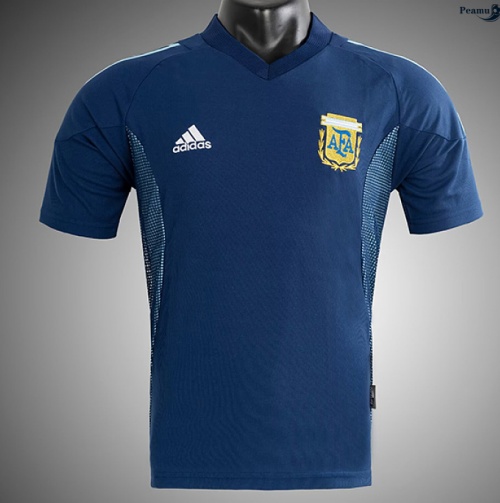 Maillot foot Rétro Argentina Exterieur 2002