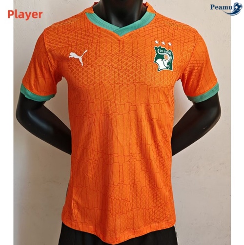 Côte d'Ivoire Player Domicile 2024