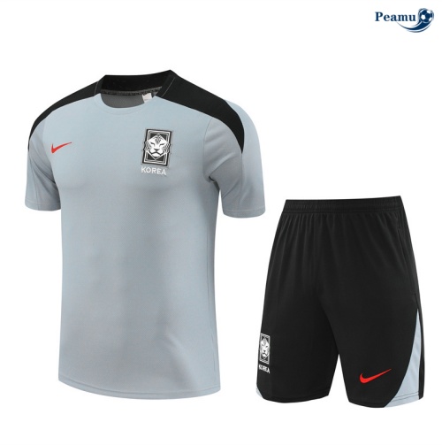 Kit Entrainement Corée + Shorts Gris 2024