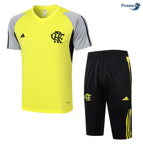 Kit Entrainement Flamengo+ Shorts jaune 2024