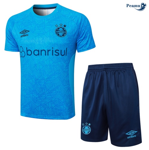 Kit Entrainement Gremio + Shorts Bleu 2024