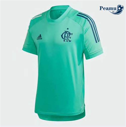 Maillot foot Flamengo training Verde 2020-2021