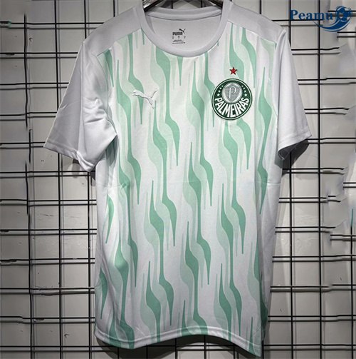 Maillot foot Palmeiras Training 2025-2026