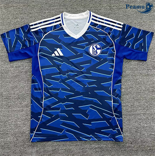 Maillot foot Schalke 04 Special 2025-2026