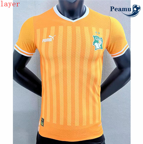 Côte d’Ivoire maillot Extérieur version Player 2023 2024
