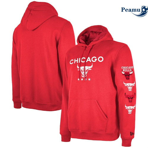 Maillot Sweatshirt à capuche Chicago Bulls 2024 - City Peamu 6078