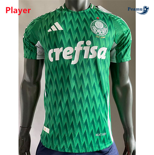 Maillot foot Palmeiras Player Version spéciale Vert 2024/2025