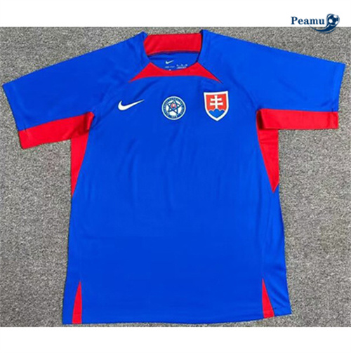 Maillot foot Slovaquie Domicile 2024/2025