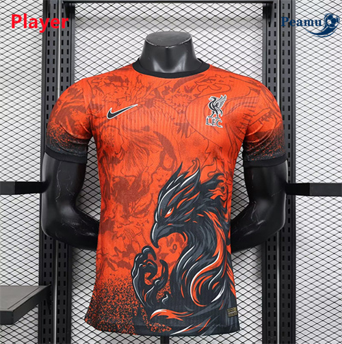 Maillot foot Liverpool Player Speciale 2024-2025