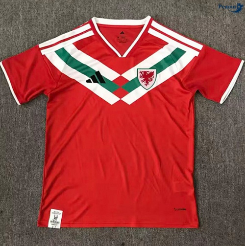 Maillot foot Pays de Galles Training 2026-2027